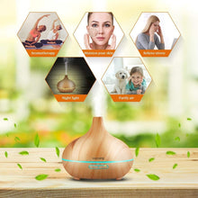 Load image into Gallery viewer, Cool Mist Humidifier Ultrasonic Aromatherapy Diffuser