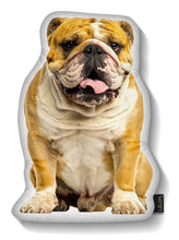 Load image into Gallery viewer, LiLiPi Dog-Shaped Accent Pillow - Assorted Styles