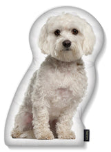 Load image into Gallery viewer, LiLiPi Dog-Shaped Accent Pillow - Assorted Styles