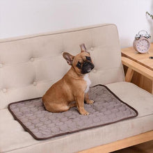 Load image into Gallery viewer, Pet Cooling Mat