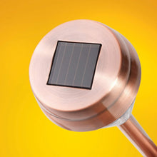 Load image into Gallery viewer, 6-Pack: EcoThink Outdoor Solar LED Pathway Light
