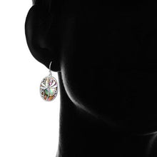 Load image into Gallery viewer, Genuine Blue Abalone Pearl Dragonfly Hook Drop Earrings

