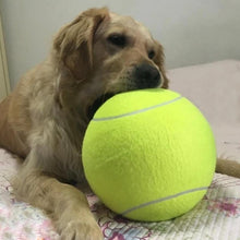 Load image into Gallery viewer, Jumbo Tennis Ball for Autographs, Dogs and Kids
