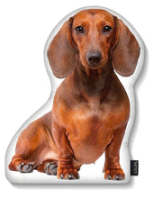 Load image into Gallery viewer, LiLiPi Dog-Shaped Accent Pillow - Assorted Styles
