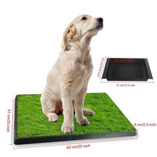Load image into Gallery viewer, Pet Loo Portable Indoor/Outdoor Pet Potty
