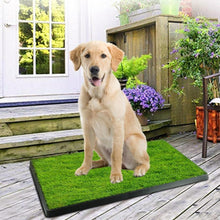 Load image into Gallery viewer, Pet Loo Portable Indoor/Outdoor Pet Potty
