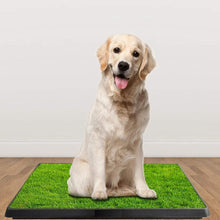 Load image into Gallery viewer, Pet Loo Portable Indoor/Outdoor Pet Potty
