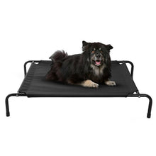 Load image into Gallery viewer, Cats and Dogs Elevated Pet Bed
