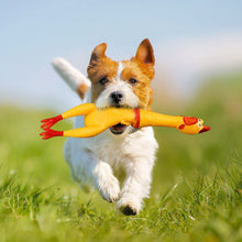 Load image into Gallery viewer, Squeaking Chicken Toy for Kids &amp; Pets
